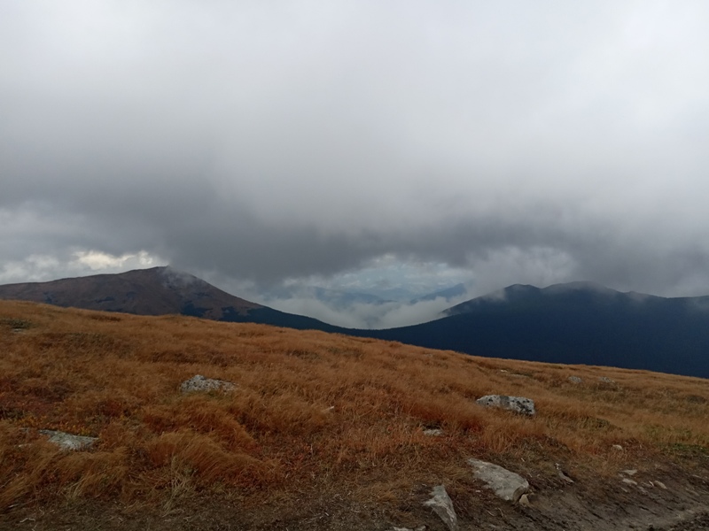 HTML5 Bootstrap Template by colorlib.com